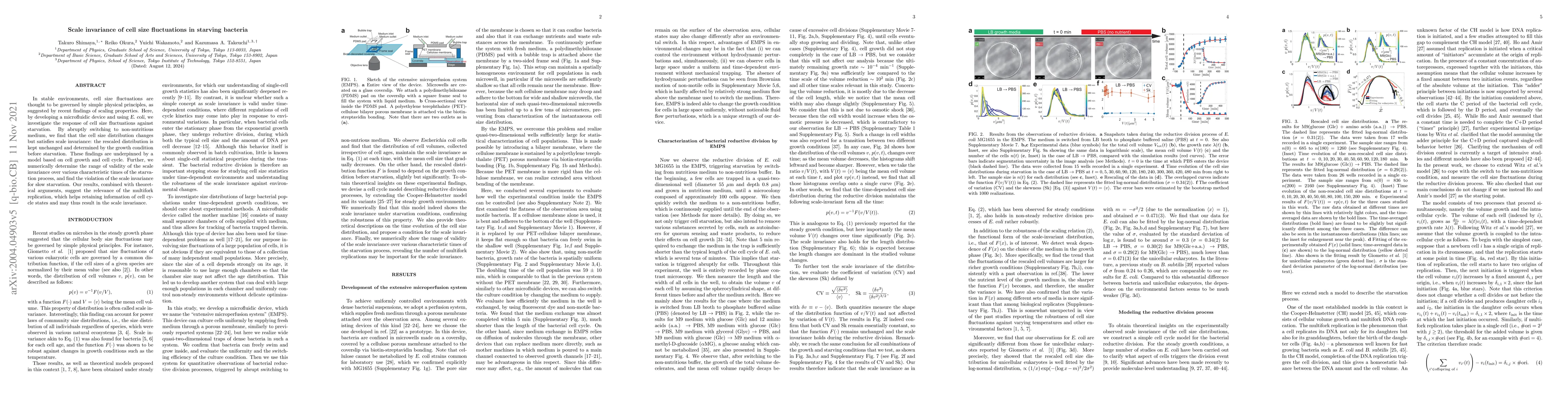 Thumbnail for Scale invariance of cell size fluctuations in starving bacteria