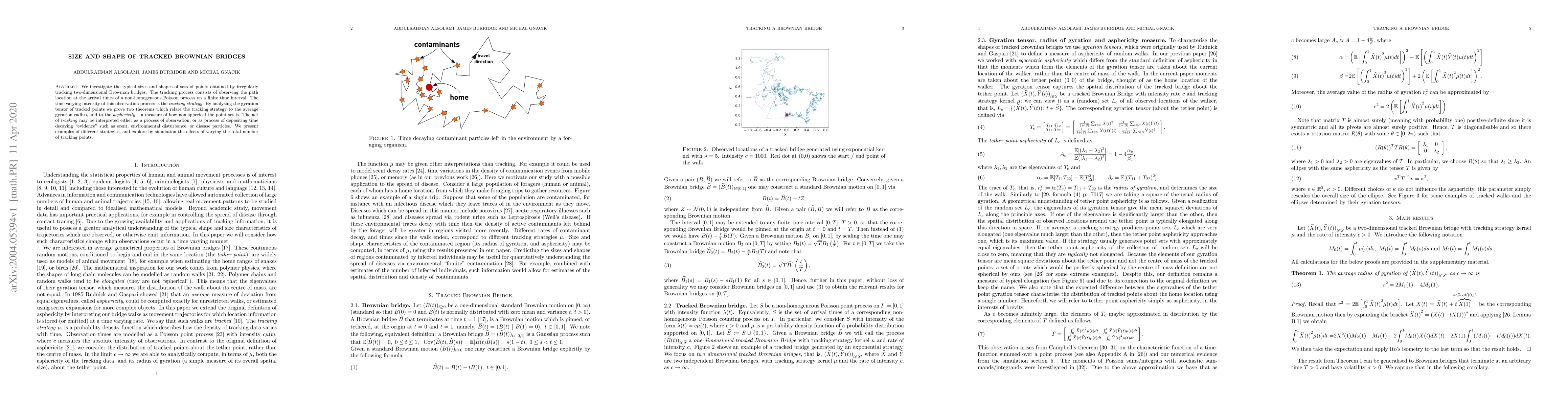 Thumbnail for Size and shape of tracked Brownian bridges