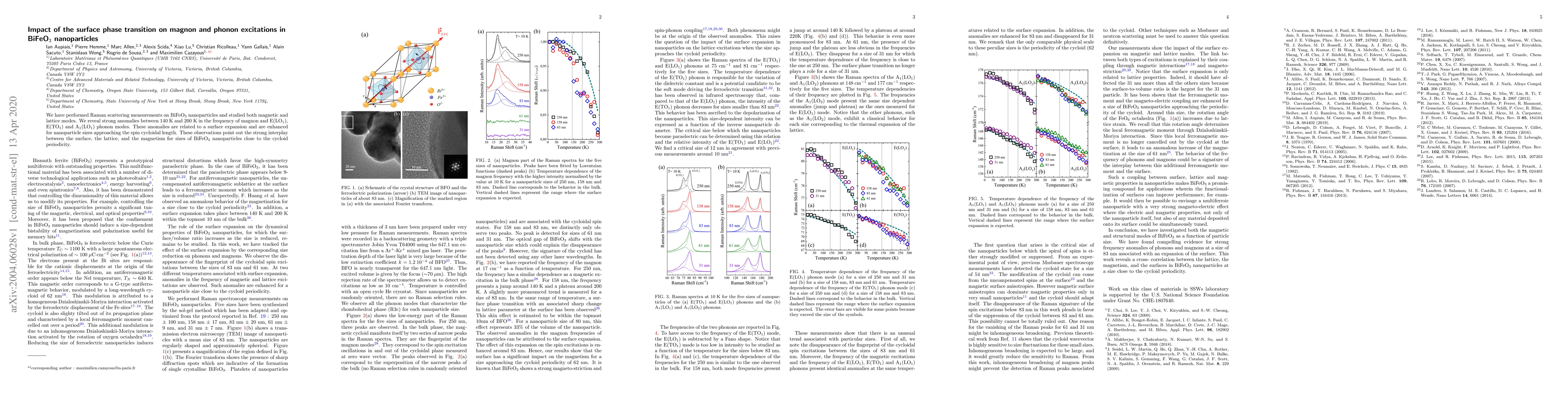 Thumbnail for Impact of the surface phase transition on magnon and phonon excitations
  in BiFeO3 nanoparticles