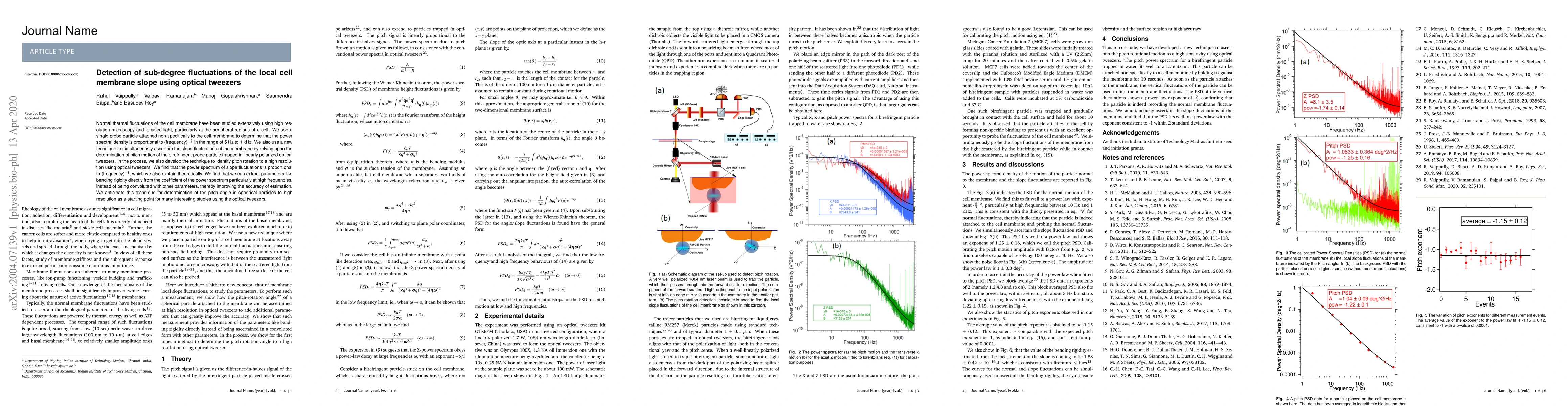 Thumbnail for Detection of sub-degree fluctuations of the local cellmembrane slope
  using optical tweezers