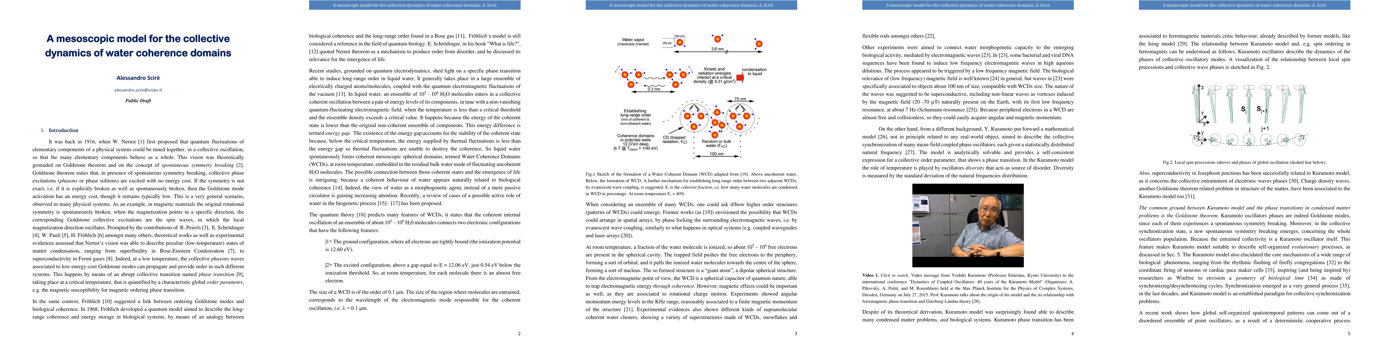 Thumbnail for A mesoscopic model for the collective dynamics of water coherence
  domains