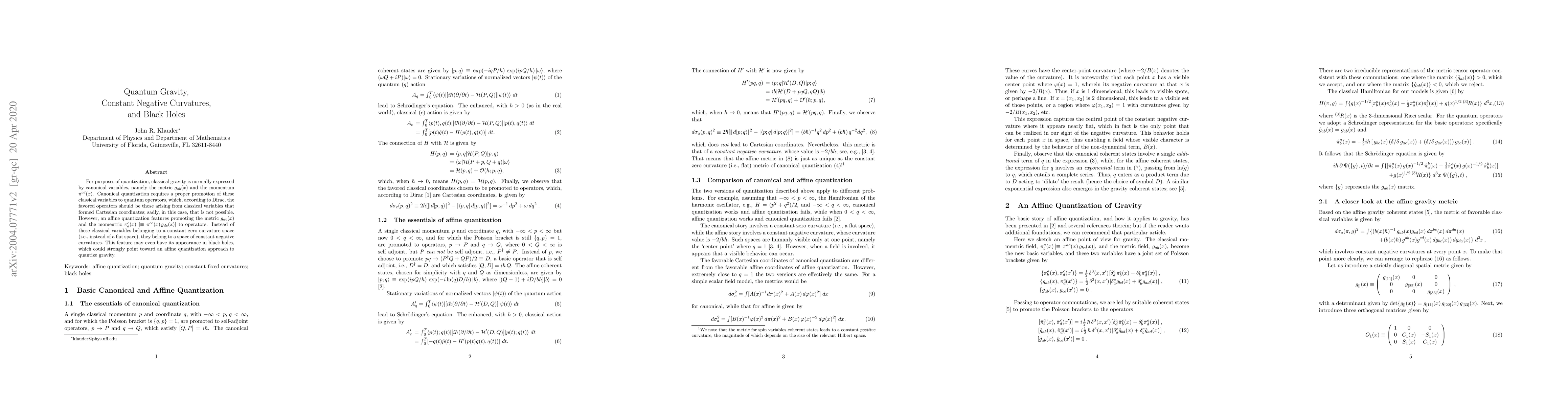 Thumbnail for Quantum Gravity, Constant Negative Curvatures, and Black Holes
