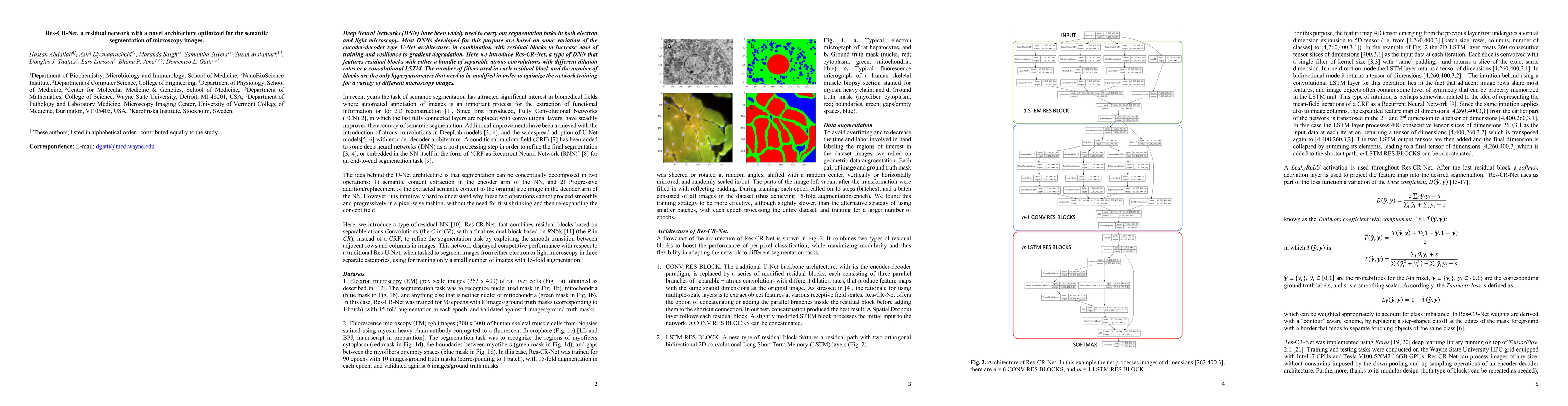 Thumbnail for Res-CR-Net, a residual network with a novel architecture optimized for
  the semantic segmentation of microscopy images