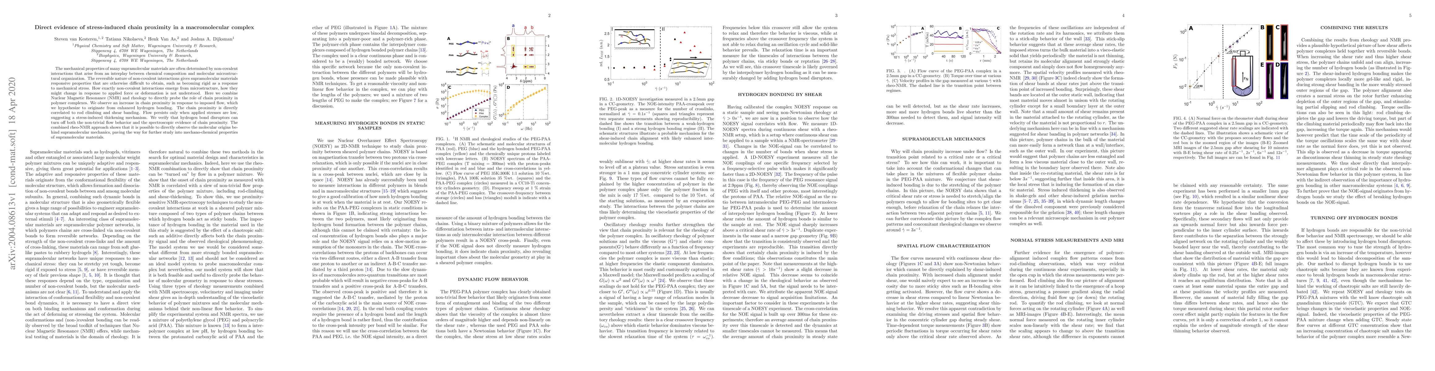 Thumbnail for Direct evidence of stress-induced chain proximity in a macromolecular
  complex