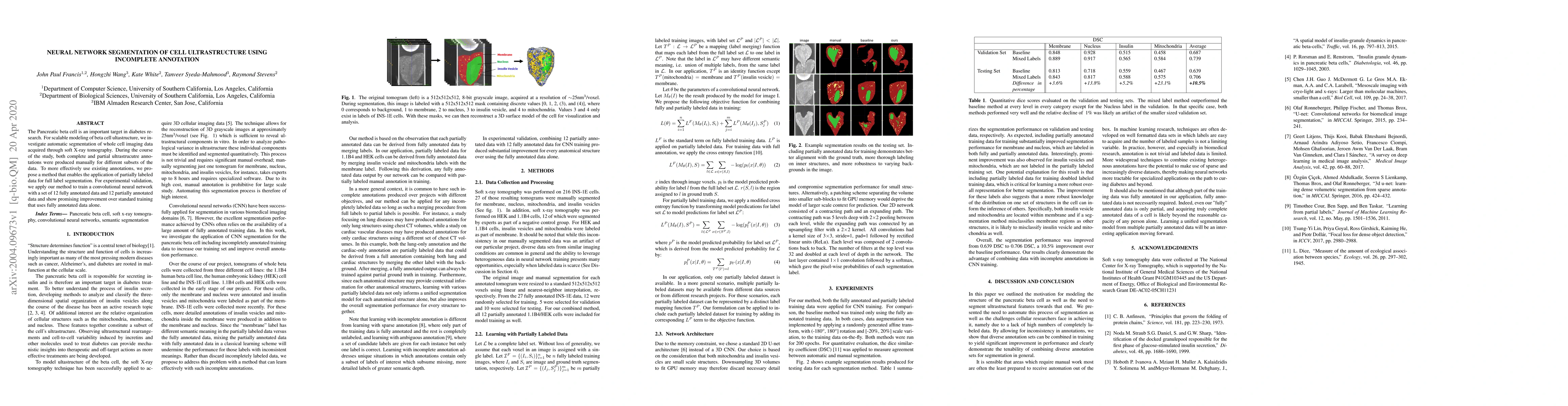 Thumbnail for Neural Network Segmentation of Cell Ultrastructure Using Incomplete
  Annotation