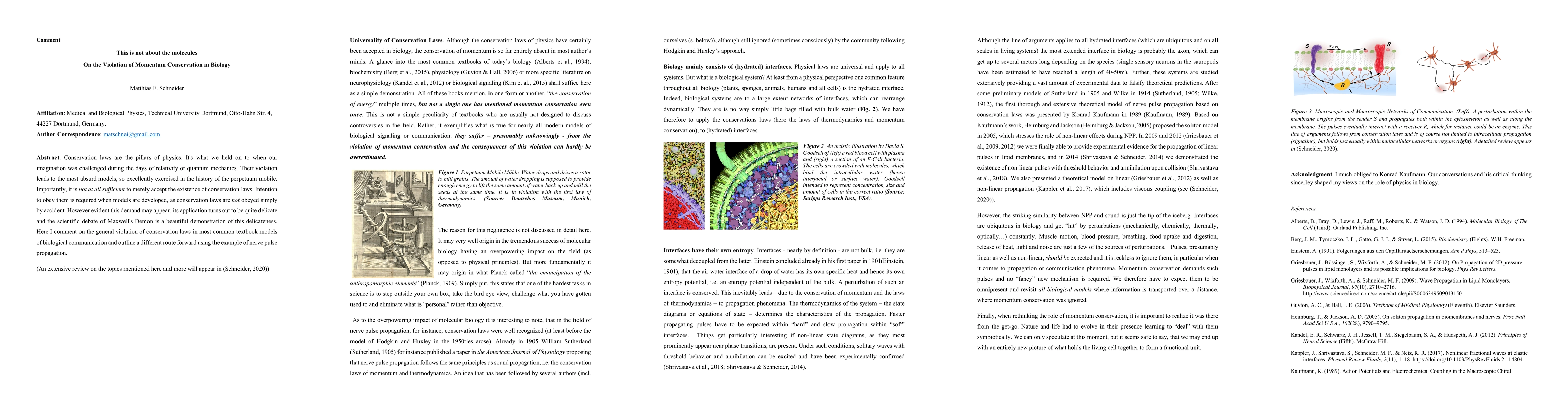 Thumbnail for This is not about the molecules -- On the Violation of Momentum
  Conservation in Biology. A short comment