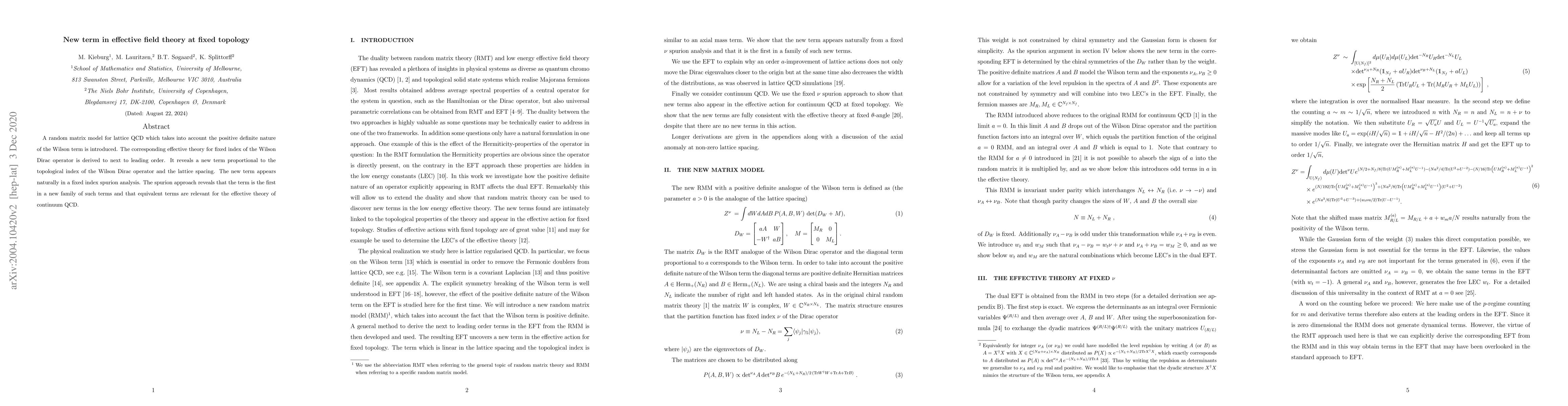 Thumbnail for New term in effective field theory at fixed topology