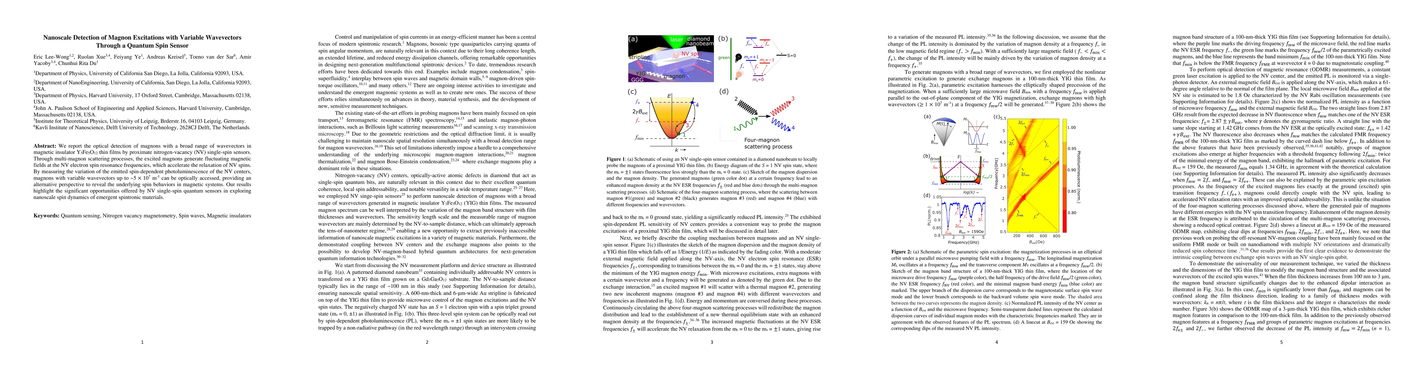 Thumbnail for Nanoscale Detection of Magnon Excitations with Variable Wavevectors
  Through a Quantum Spin Sensor