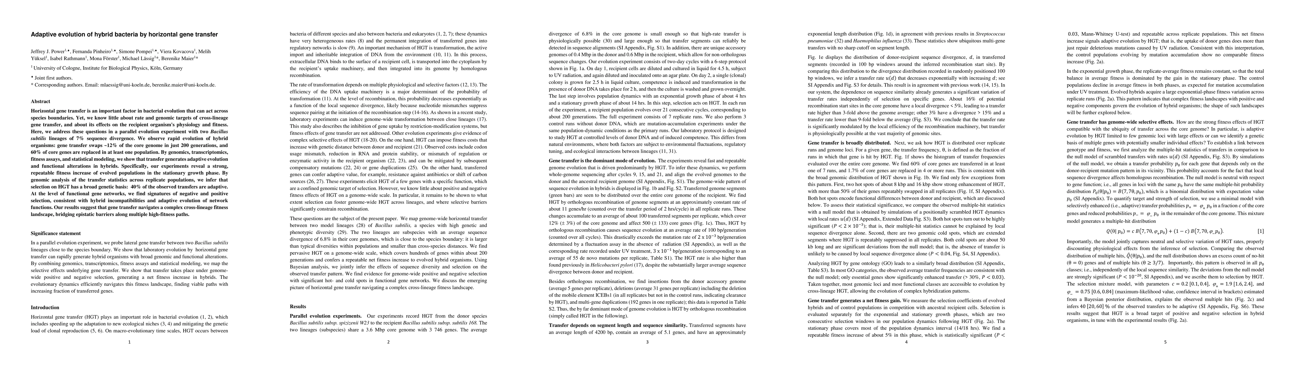 Thumbnail for Adaptive evolution of hybrid bacteria by horizontal gene transfer