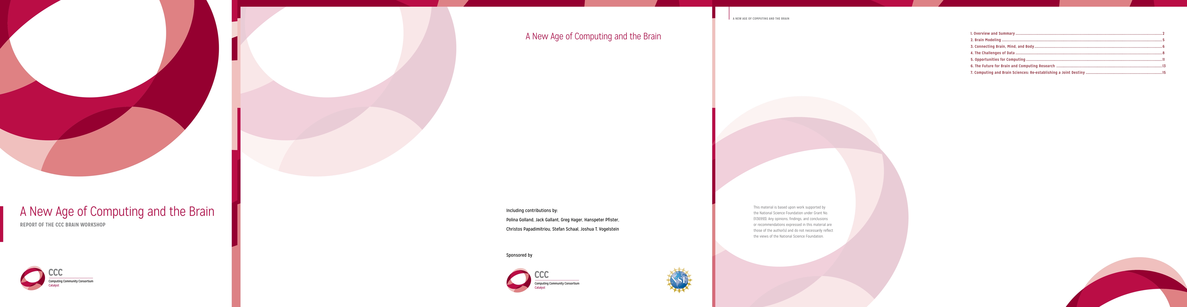 Thumbnail for A New Age of Computing and the Brain