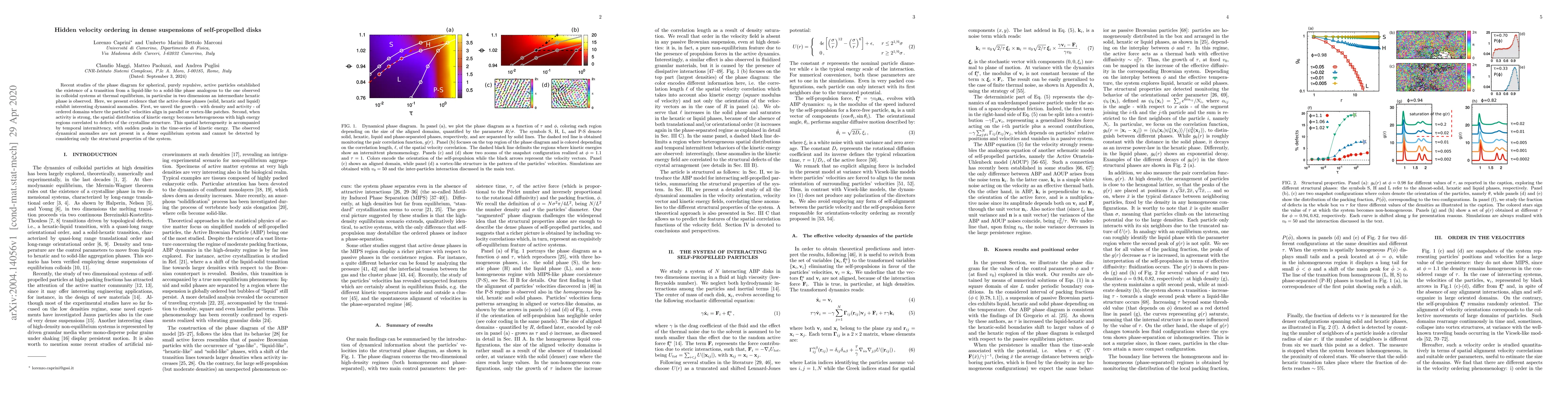 Thumbnail for Hidden velocity ordering in dense suspensions of self-propelled disks