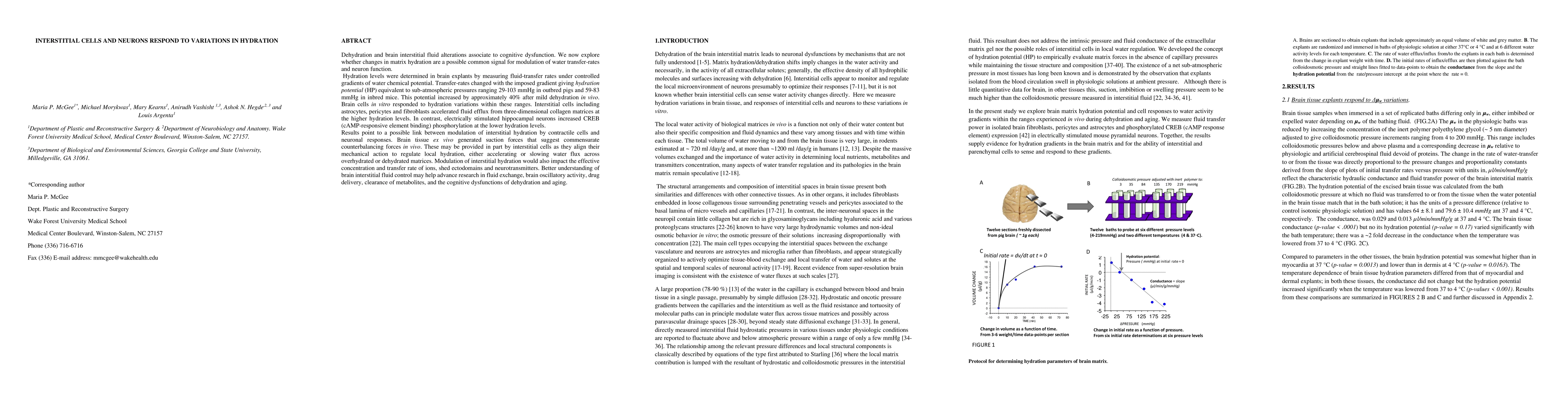 Thumbnail for Interstitial cells and neurons respond to variations in hydration