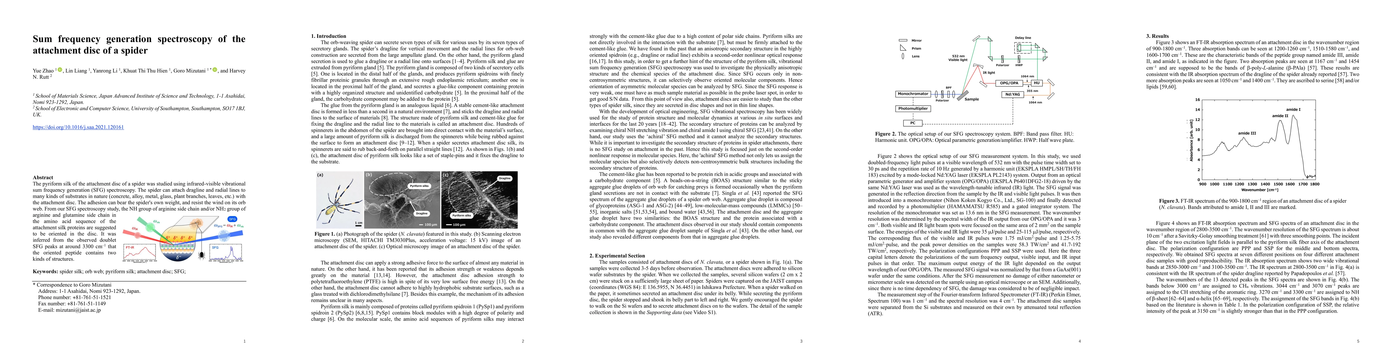 Thumbnail for Sum frequency generation spectroscopy of the attachment disc of a spider
