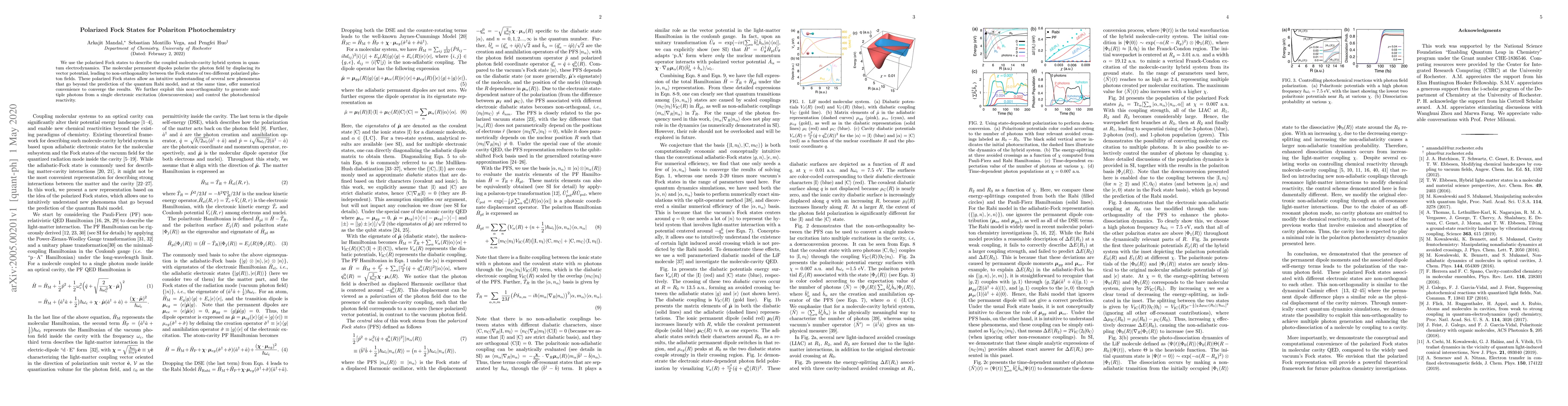 Thumbnail for Polarized Fock States for Polariton Photochemistry