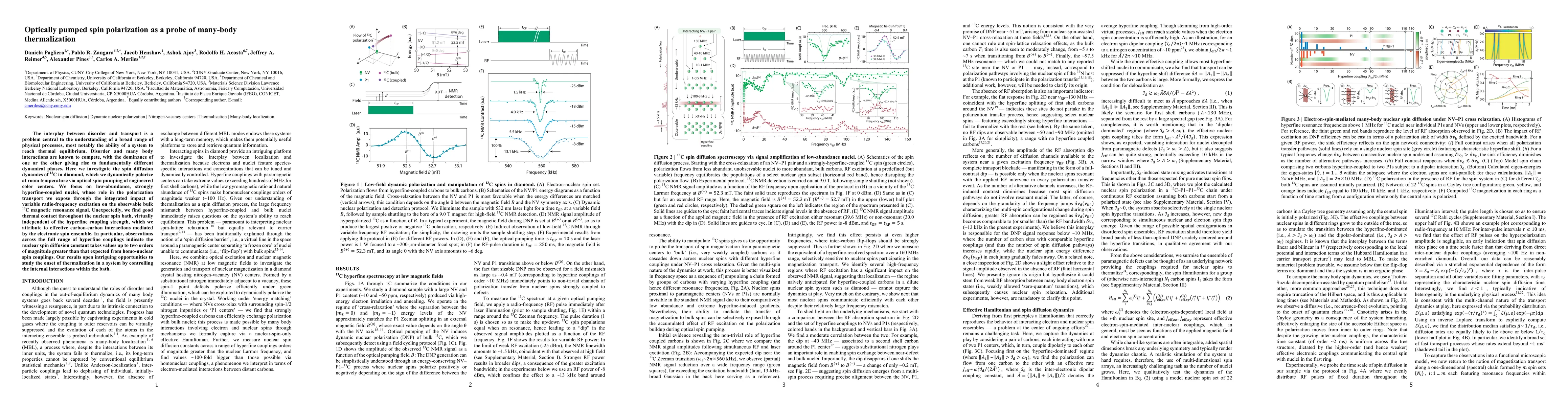Thumbnail for Optically pumped spin polarization as a probe of many-body
  thermalization