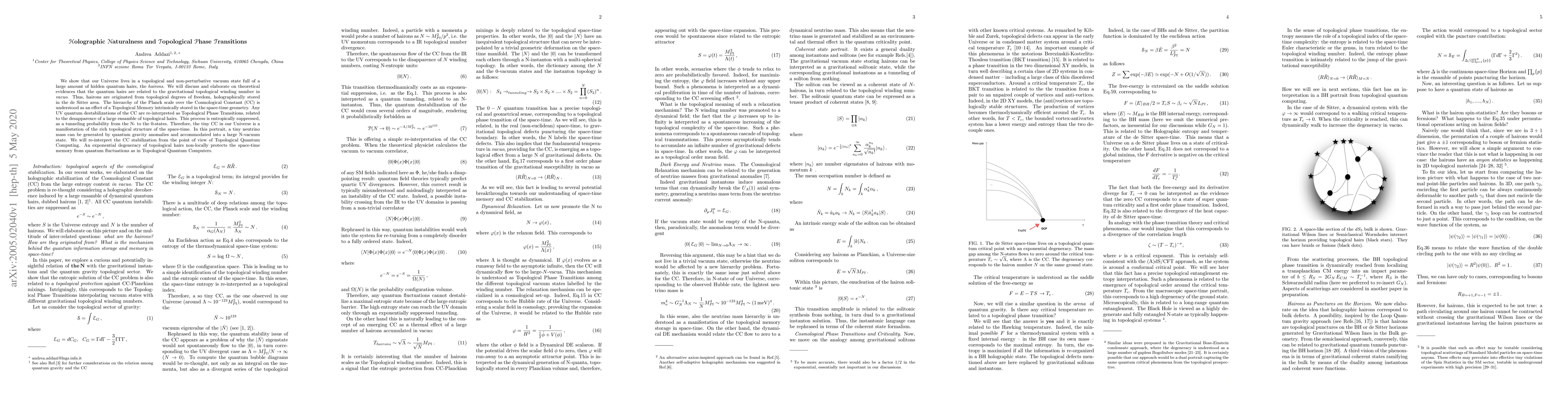 Thumbnail for Holographic Naturalness and Topological Phase Transitions