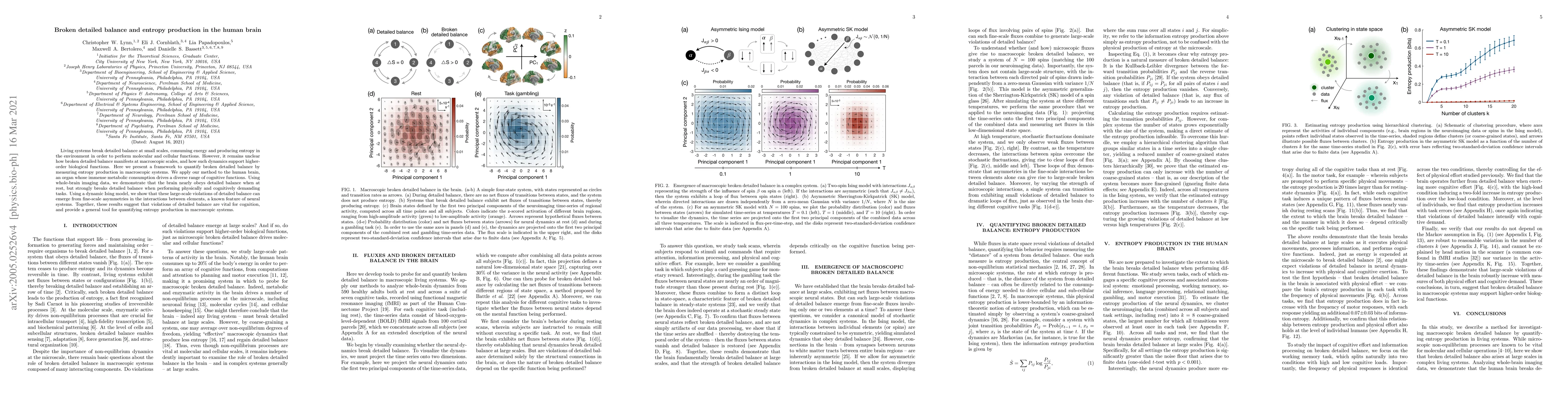 Thumbnail for Broken detailed balance and entropy production in the human brain