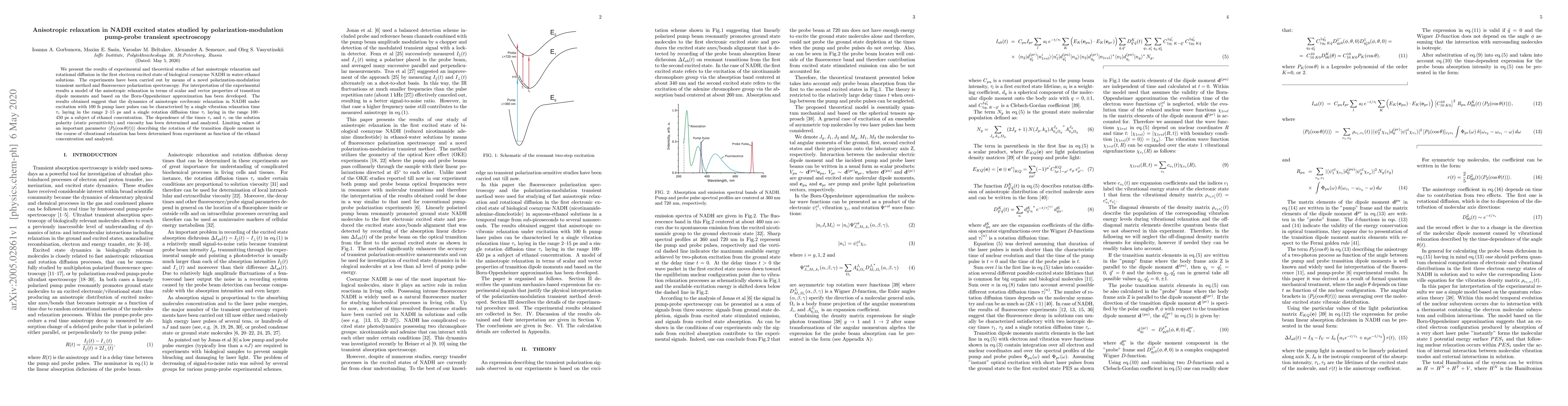 Thumbnail for Anisotropic relaxation in NADH excited states studied by
  polarization-modulation pump-probe transient spectroscopy