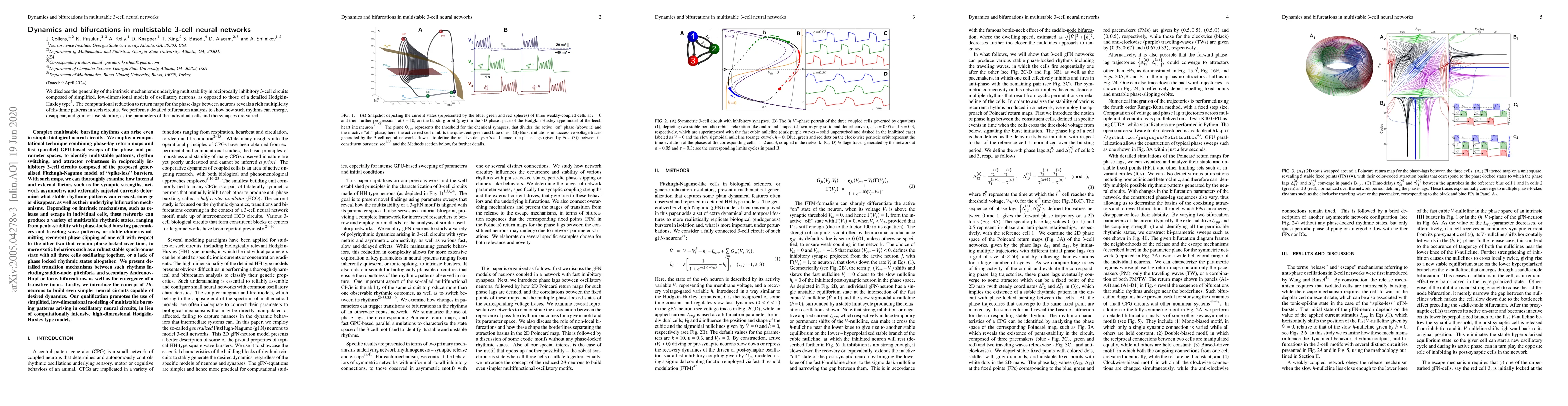 Thumbnail for Dynamics and bifurcations in multistable 3-cell neural networks