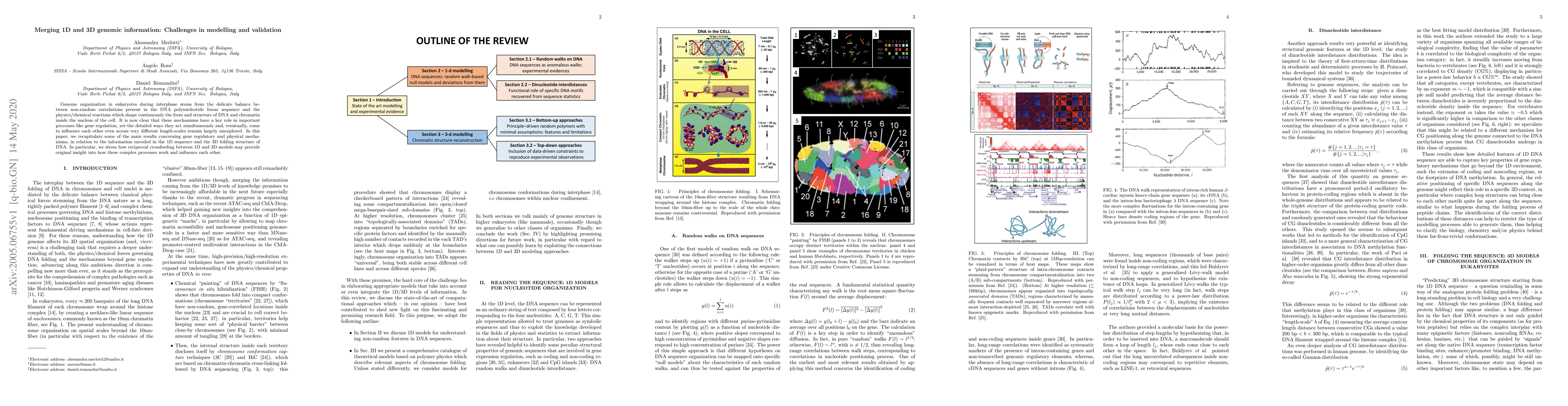 Thumbnail for Merging 1D and 3D genomic information: Challenges in modelling and
  validation