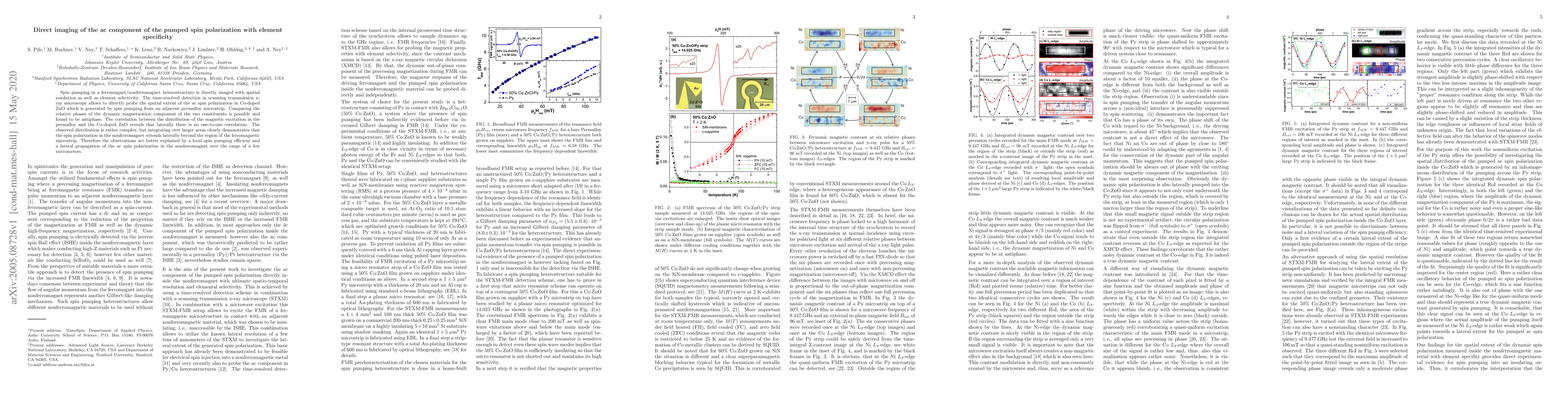 Thumbnail for Direct imaging of the ac component of the pumped spin polarization with
  element specificity