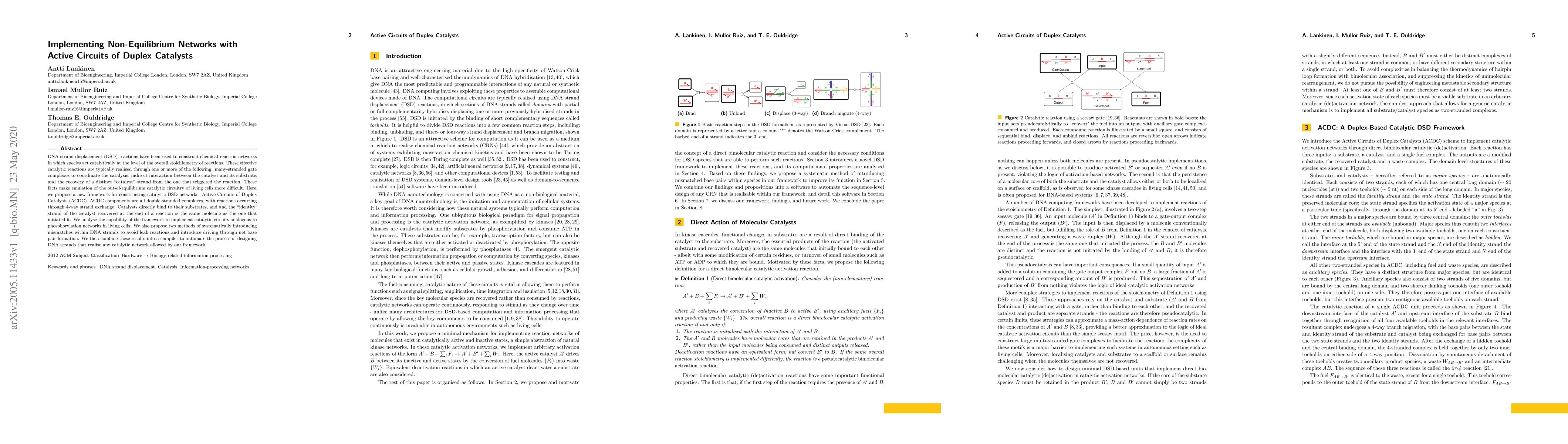 Thumbnail for Implementing Non-Equilibrium Networks with Active Circuits of Duplex
  Catalysts