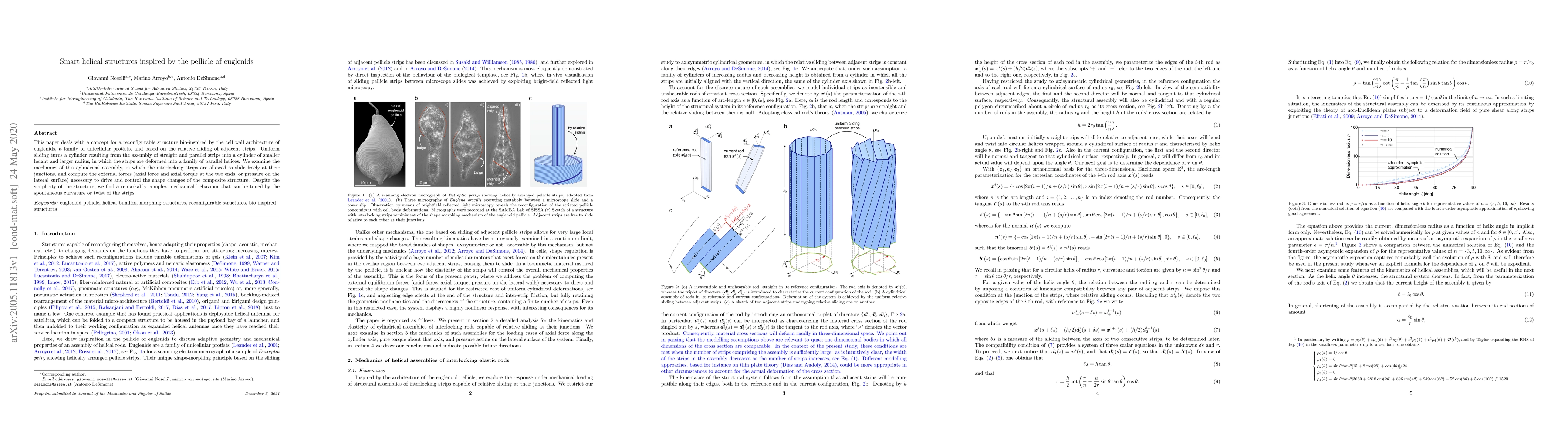 Thumbnail for Smart helical structures inspired by the pellicle of euglenids