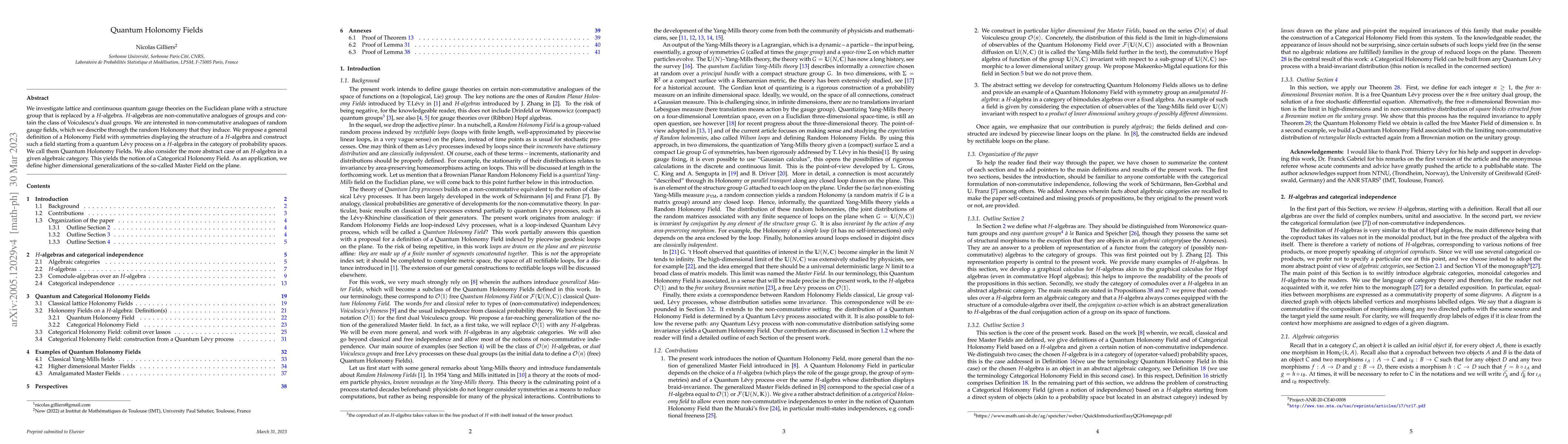 Thumbnail for Quantum Holonomy Fields