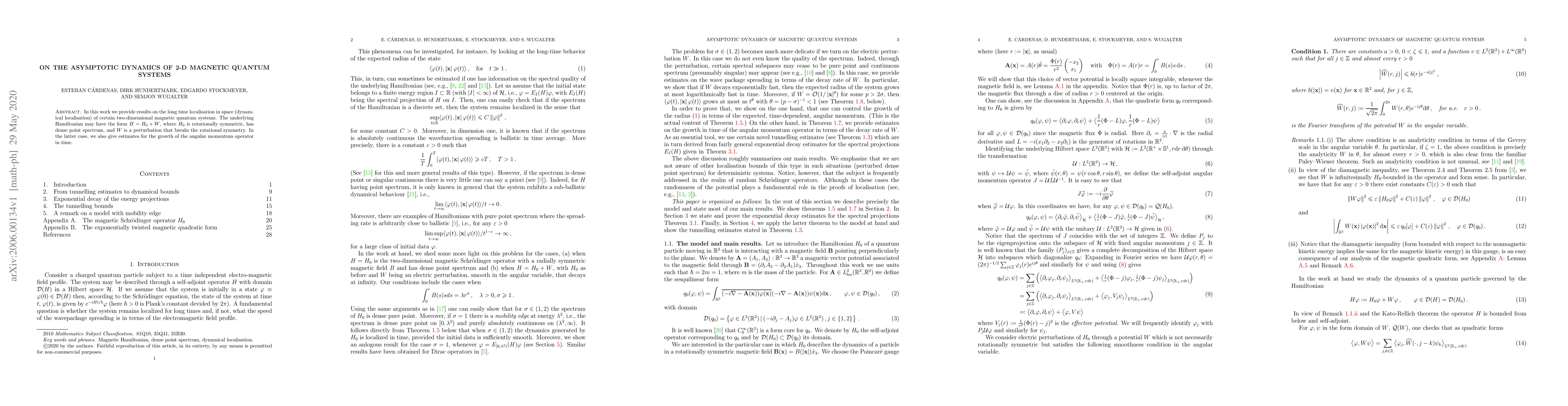 Thumbnail for On the asymptotic dynamics of 2-D magnetic quantum systems