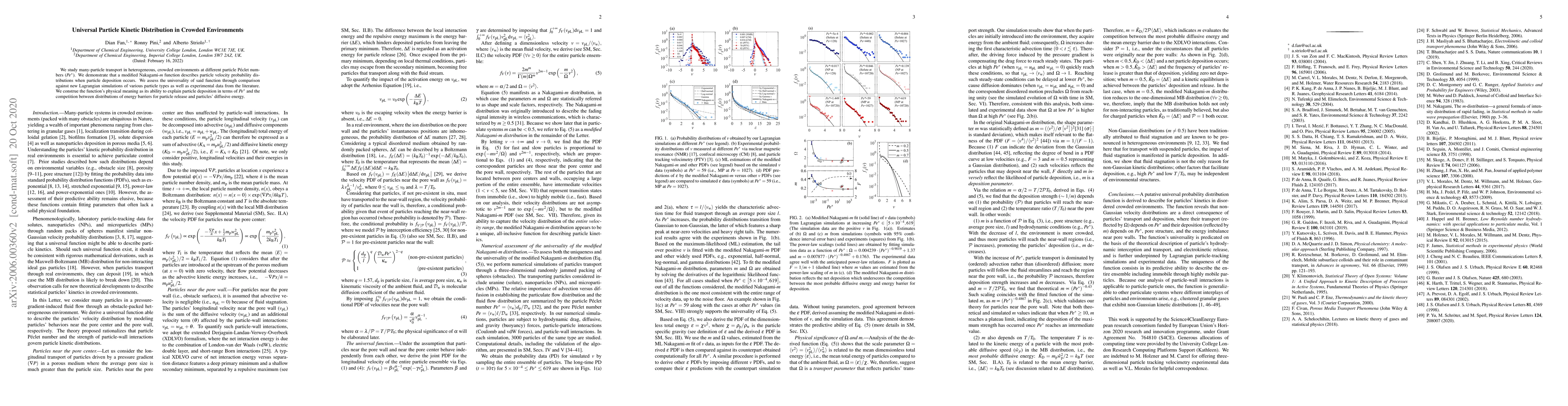 Thumbnail for Universal Particle Kinetic Distribution in Crowded Environments
