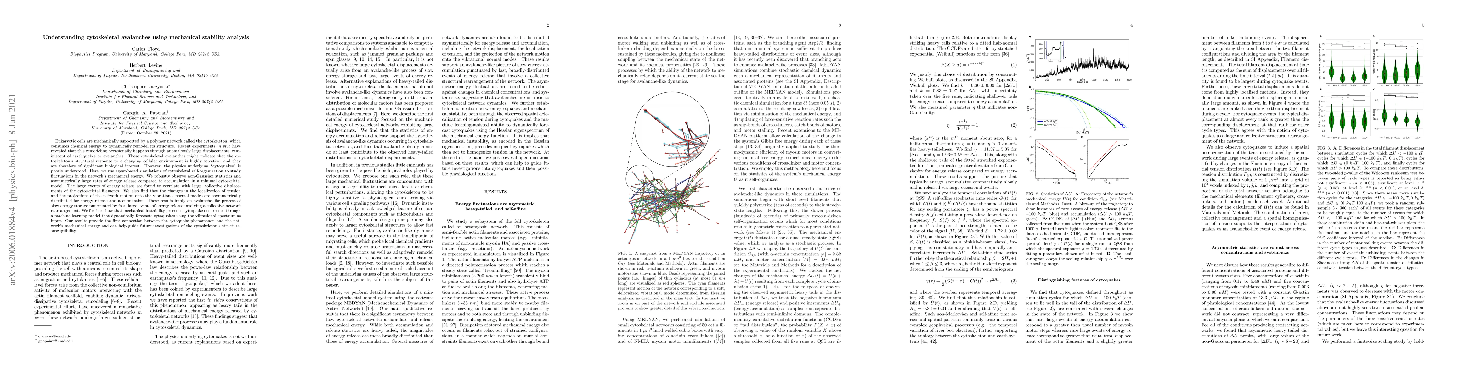 Thumbnail for Understanding cytoskeletal avalanches using mechanical stability
  analysis