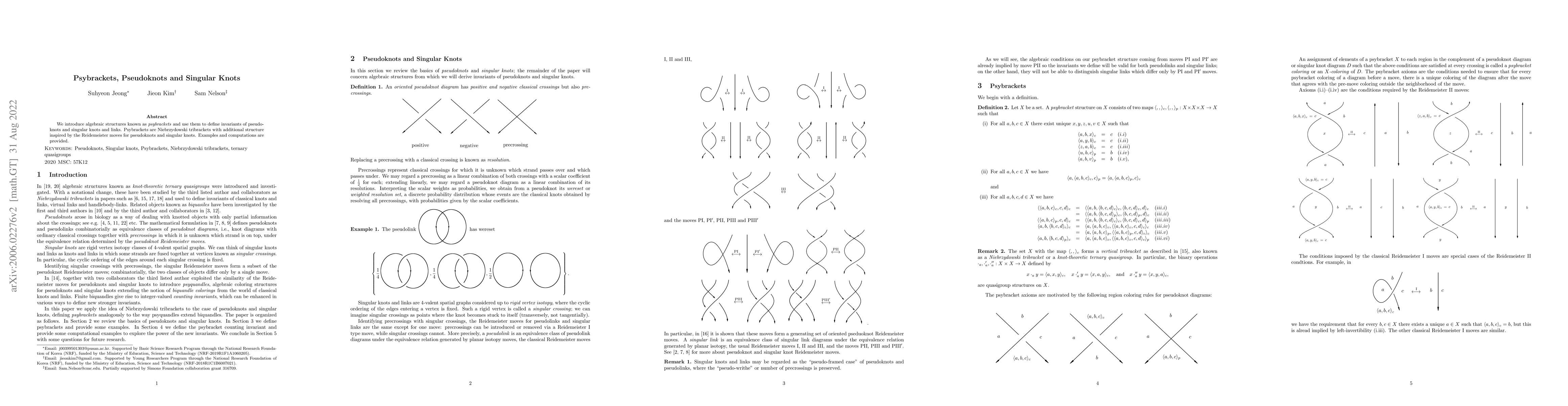 Thumbnail for Psybrackets, Pseudoknots and Singular Knots