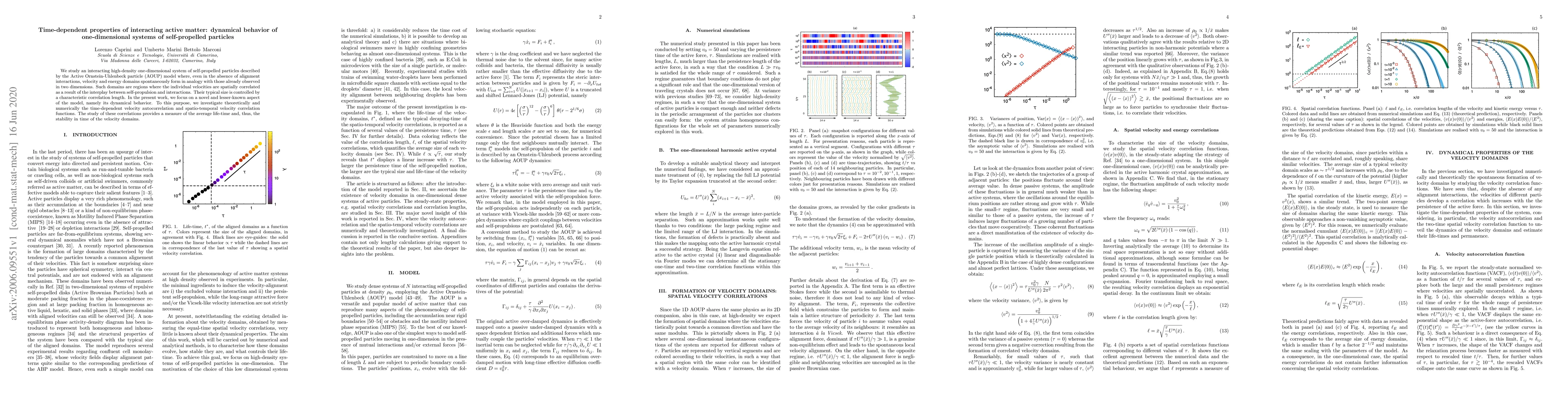 Thumbnail for Time-dependent properties of interacting active matter: dynamical
  behavior of one-dimensional systems of self-propelled particles