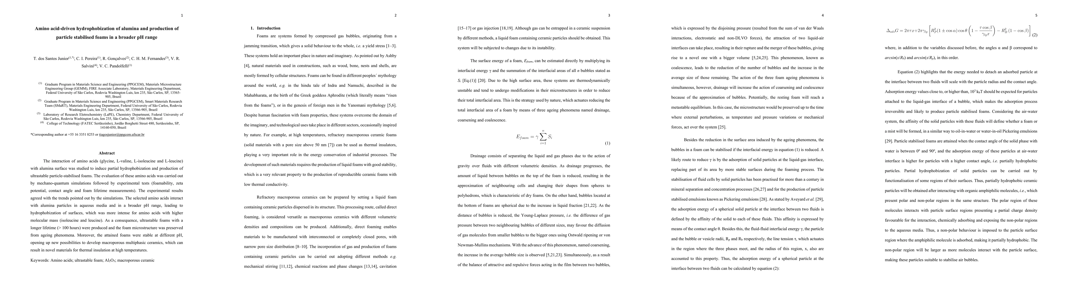Thumbnail for Amino acid-driven hydrophobization of alumina and production of particle
  stabilised foams in a broader pH range