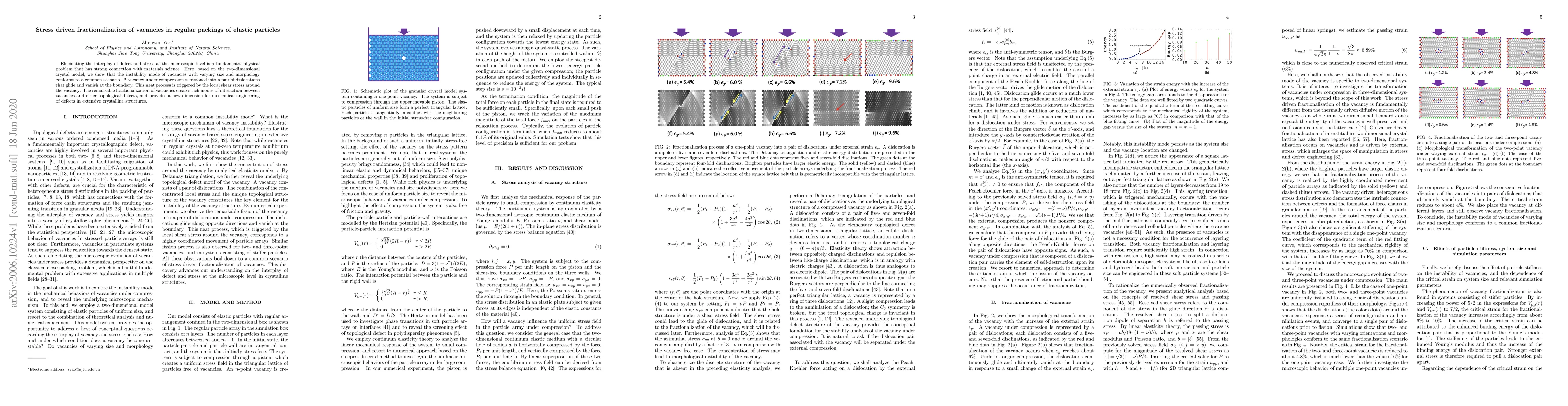Thumbnail for Stress driven fractionalization of vacancies in regular packings of
  elastic particles