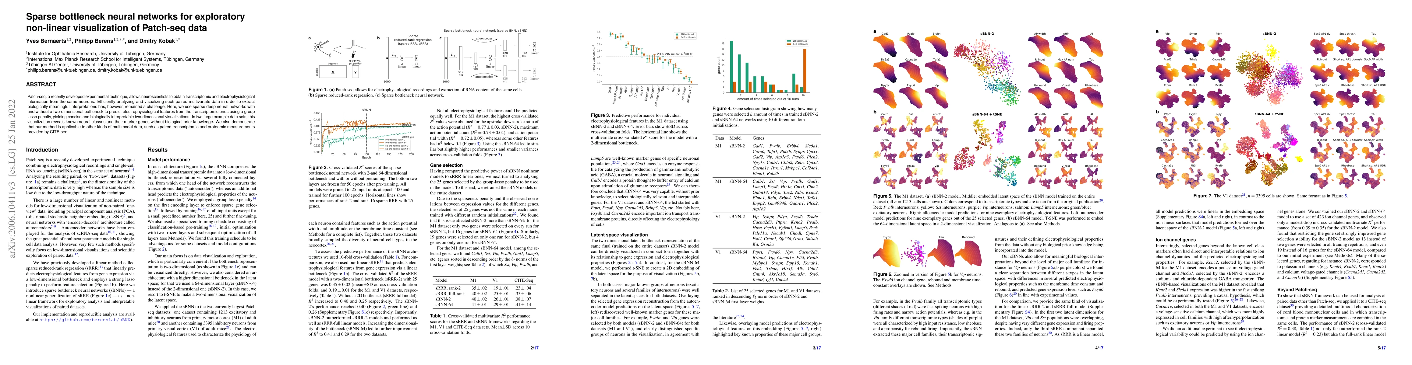 Thumbnail for Sparse bottleneck neural networks for exploratory non-linear
  visualization of Patch-seq data