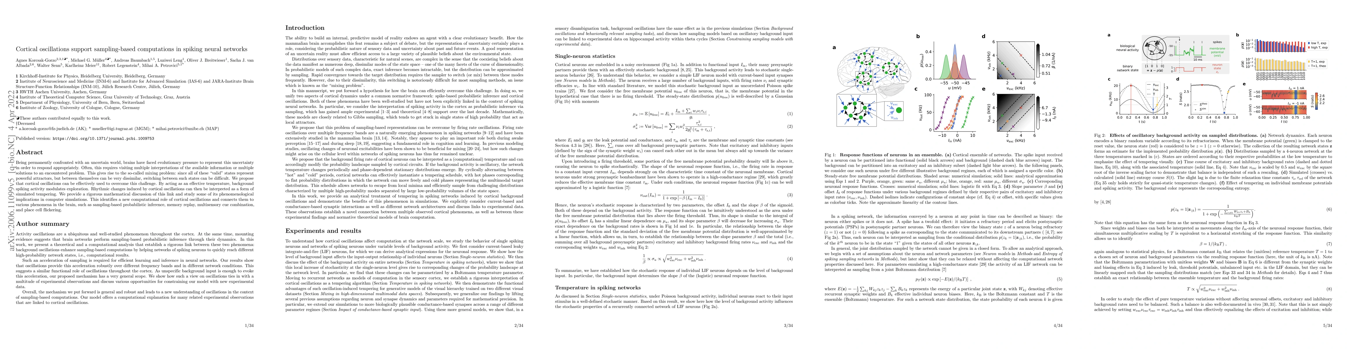 Thumbnail for Cortical oscillations implement a backbone for sampling-based
  computation in spiking neural networks