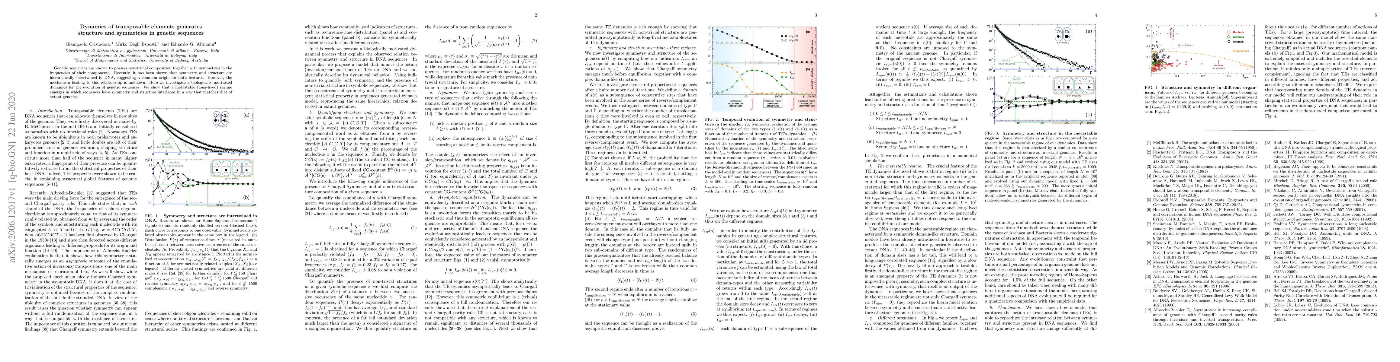 Thumbnail for Dynamics of transposable elements generates structure and symmetries in
  genetic sequences