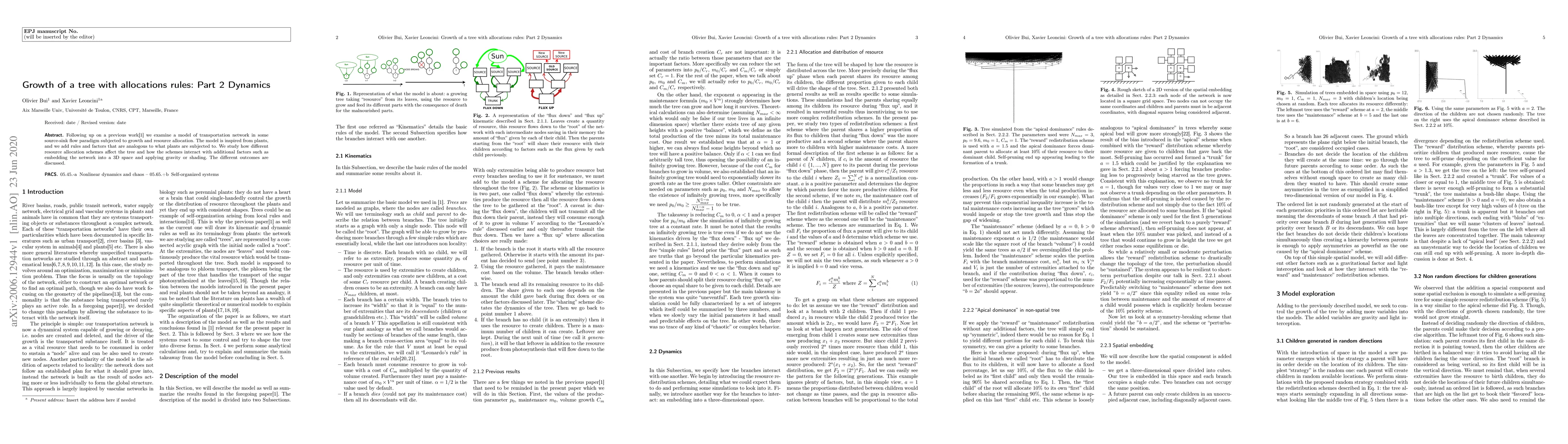 Thumbnail for Growth of a tree with allocations rules: Part 2 Dynamics