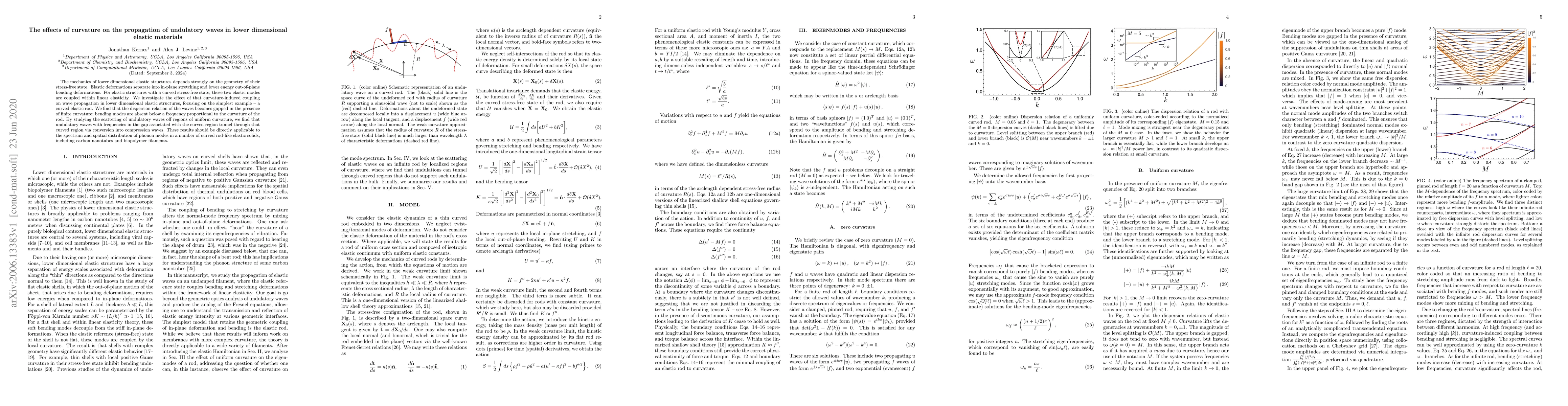 Thumbnail for The effects of curvature on the propagation of undulatory waves in lower
  dimensional elastic materials