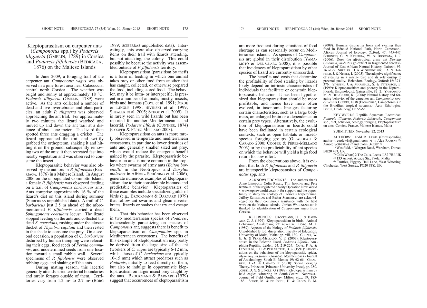 Thumbnail for Kleptoparasitism on carpenter ants (Camponotus spp.) by Podarcis
  tiliguerta (Gmelin, 1789) in Corsica and Podarcis filfolensis (Bedriaga,
  1876) on the Maltese islands