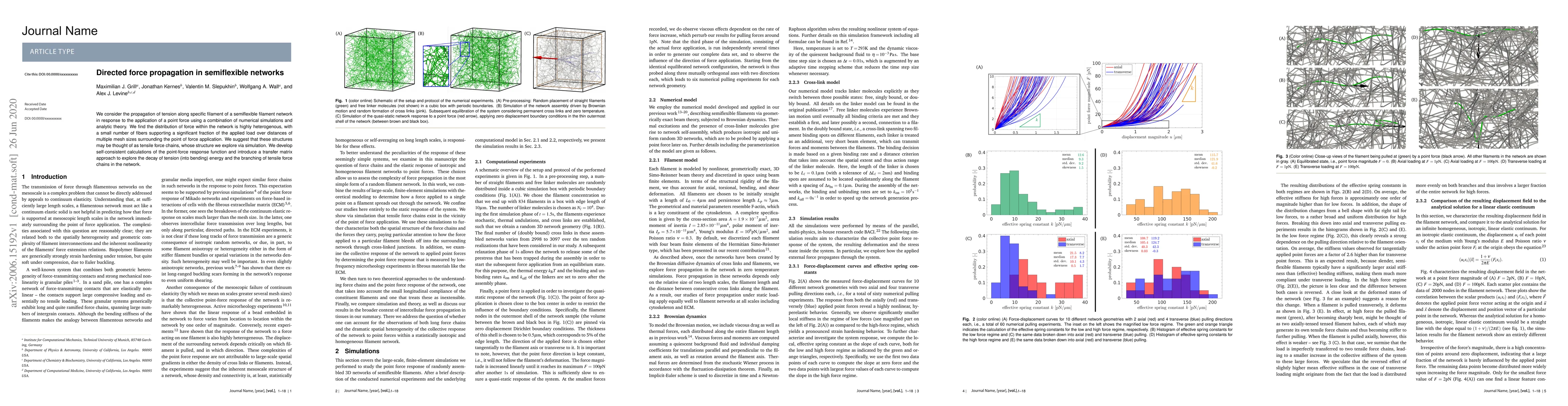 Thumbnail for Directed force propagation in semiflexible networks