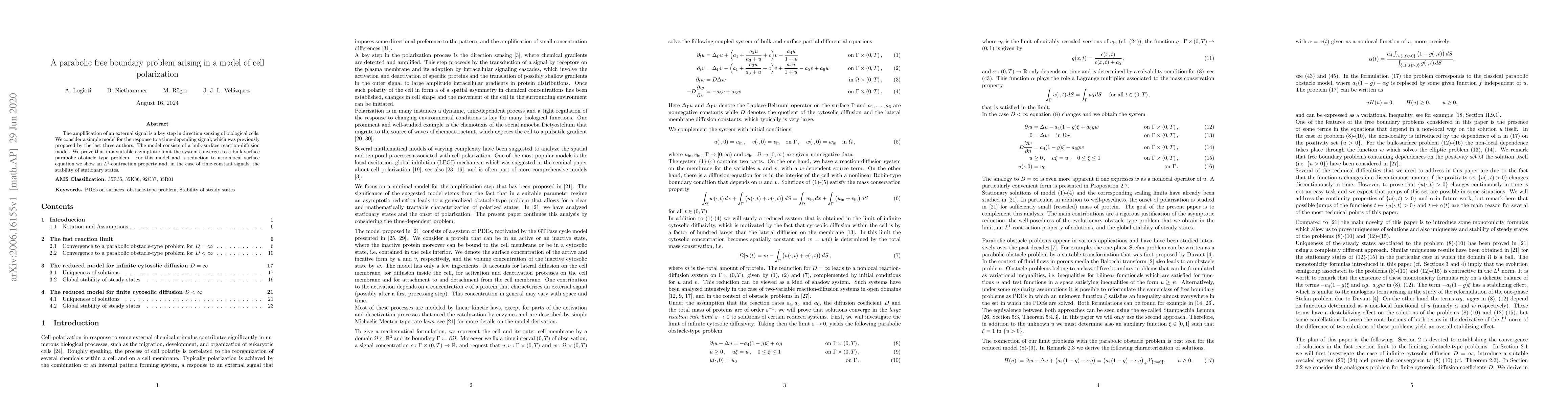 Thumbnail for A parabolic free boundary problem arising in a model of cell
  polarization
