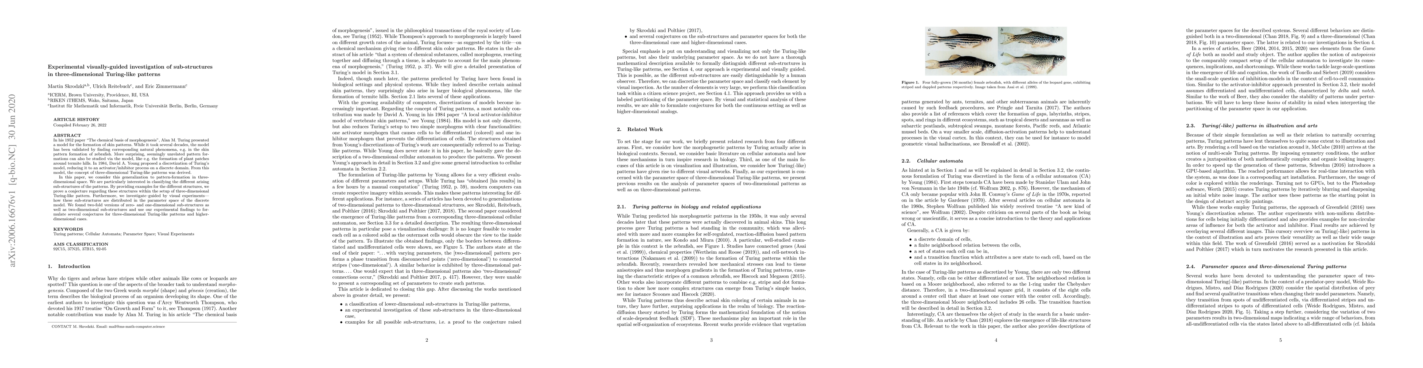 Thumbnail for Experimental visually-guided investigation of sub-structures in
  three-dimensional Turing-like patterns