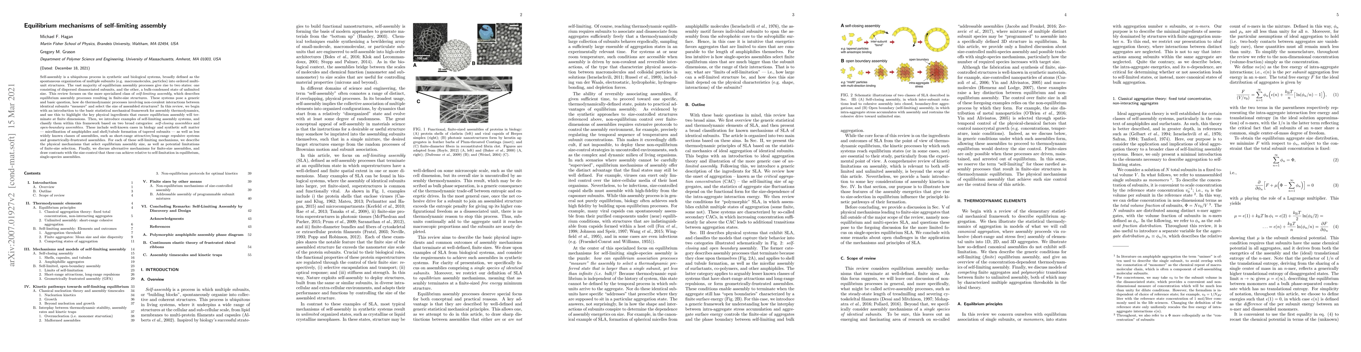 Thumbnail for Equilibrium mechanisms of self-limiting assembly