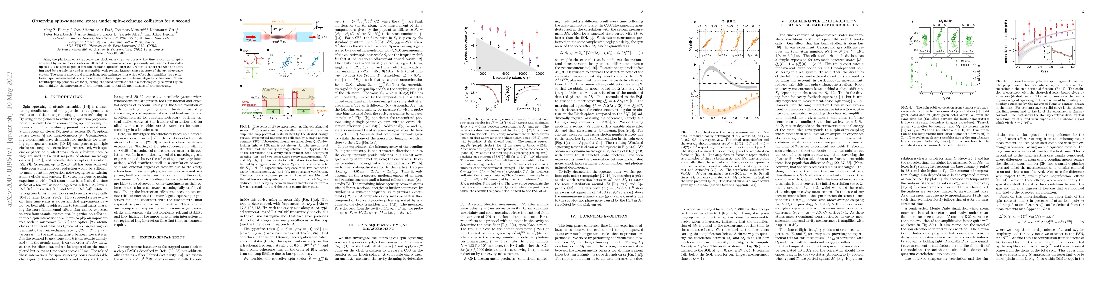 Thumbnail for Observing spin-squeezed states under spin-exchange collisions for a
  second