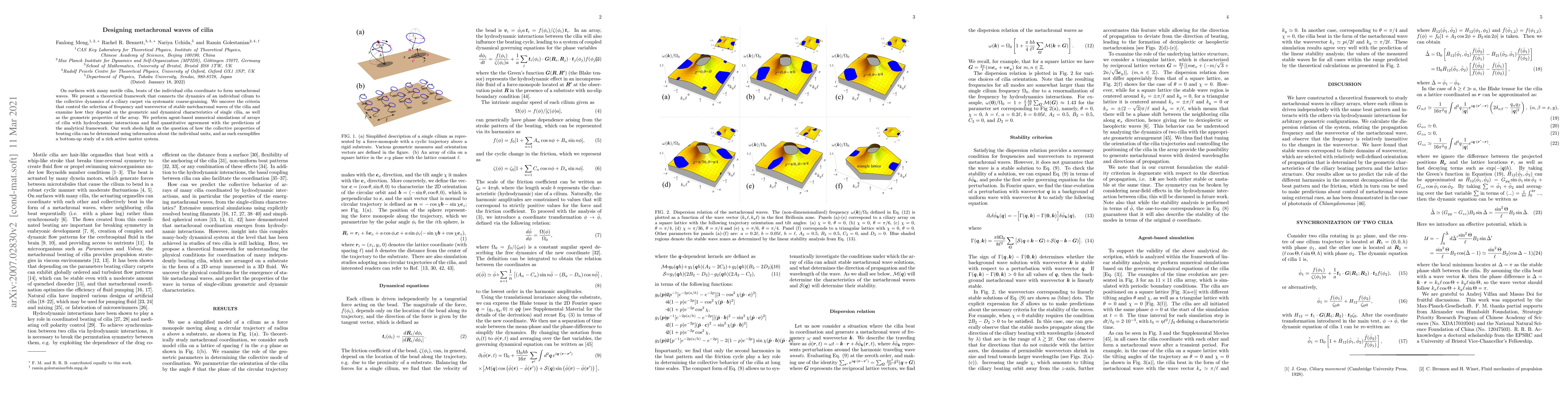 Thumbnail for Designing metachronal waves of cilia
