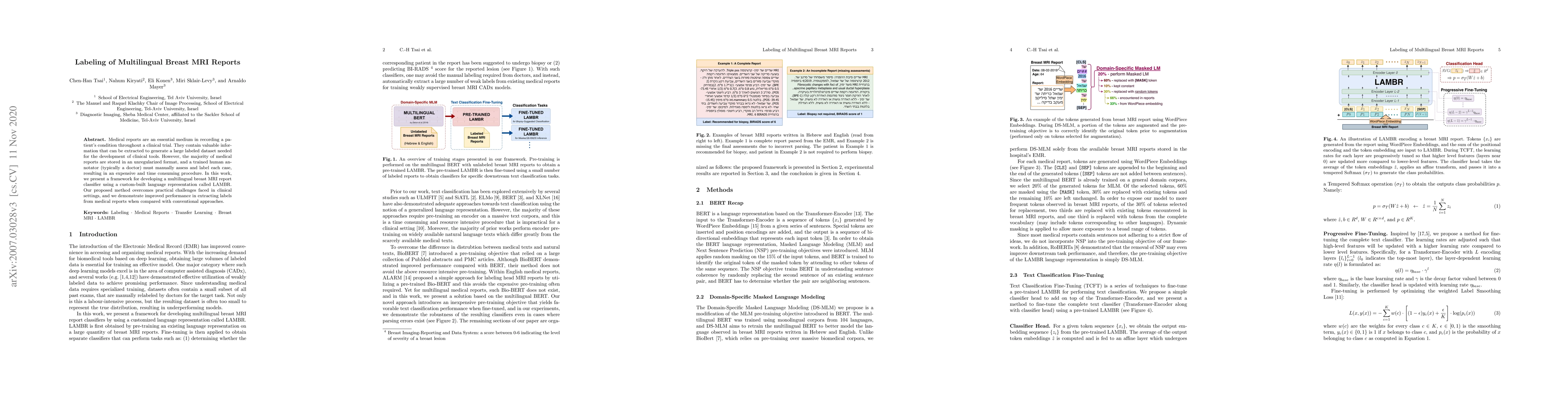 Thumbnail for Labeling of Multilingual Breast MRI Reports
