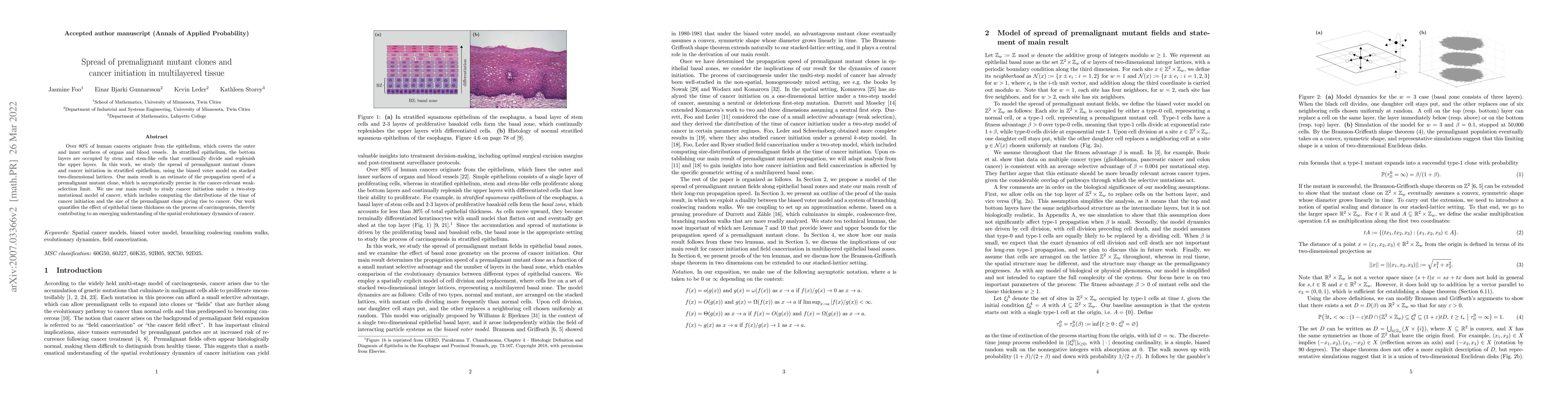 Thumbnail for Spread of premalignant mutant clones and cancer initiation in
  multilayered tissue