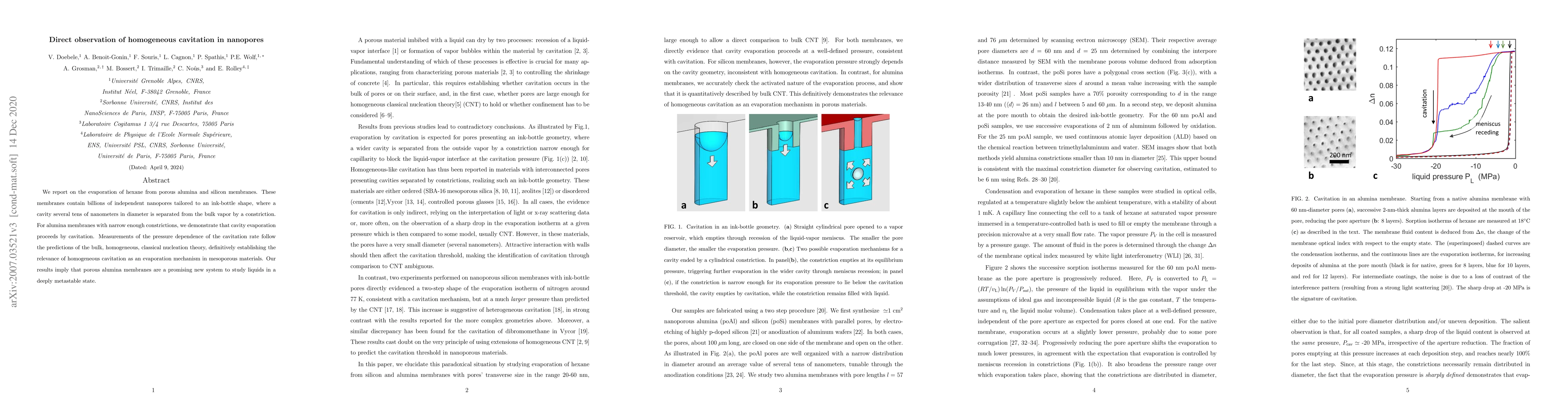 Thumbnail for Direct observation of homogeneous cavitation in nanopores